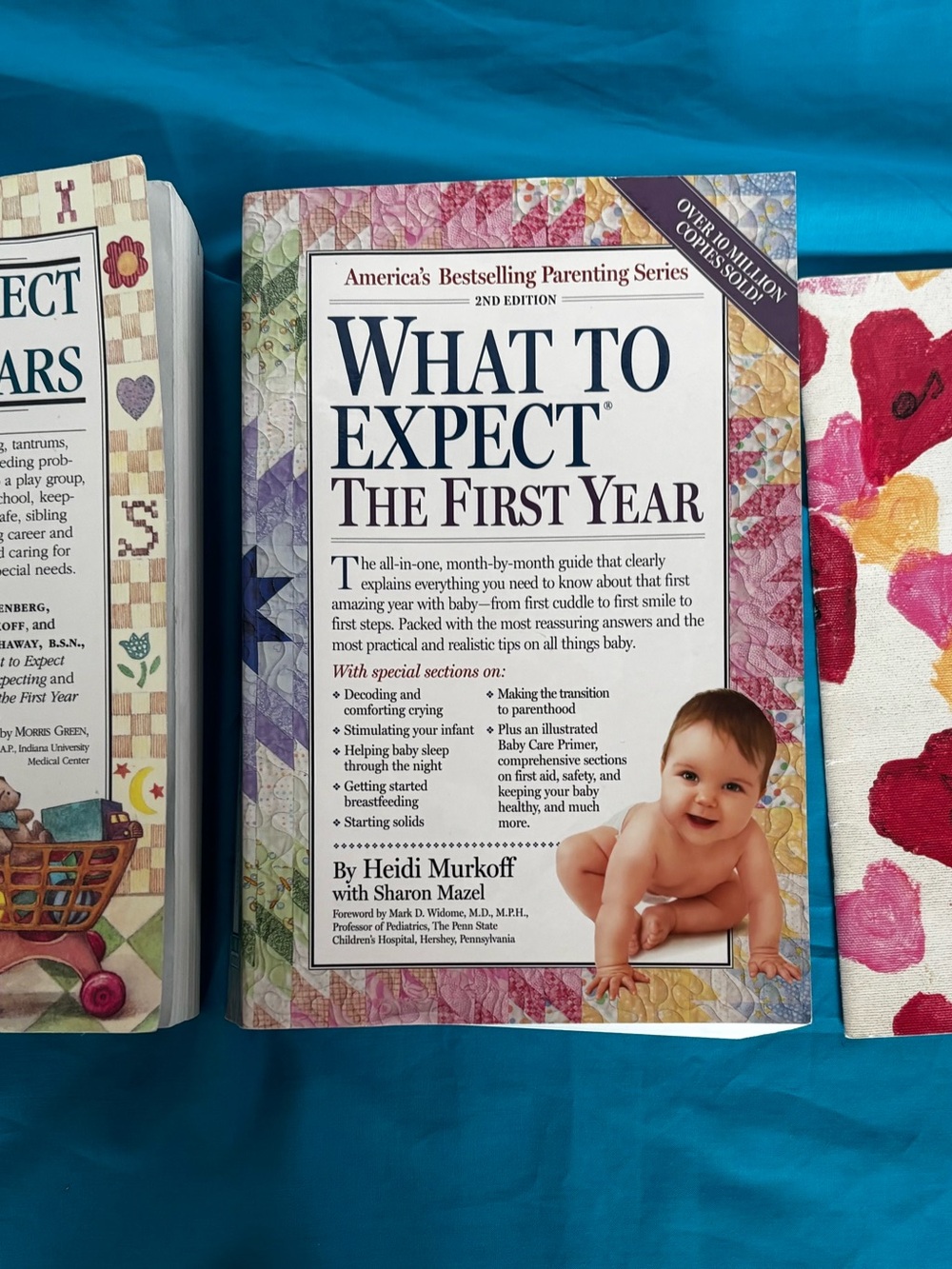 Chronicle Books What to Expect The First Year (white, multicolor)